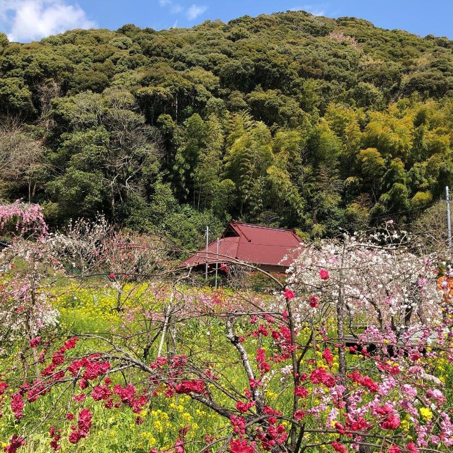 Toraya Attic Villa Shimoda  Dış mekan fotoğraf